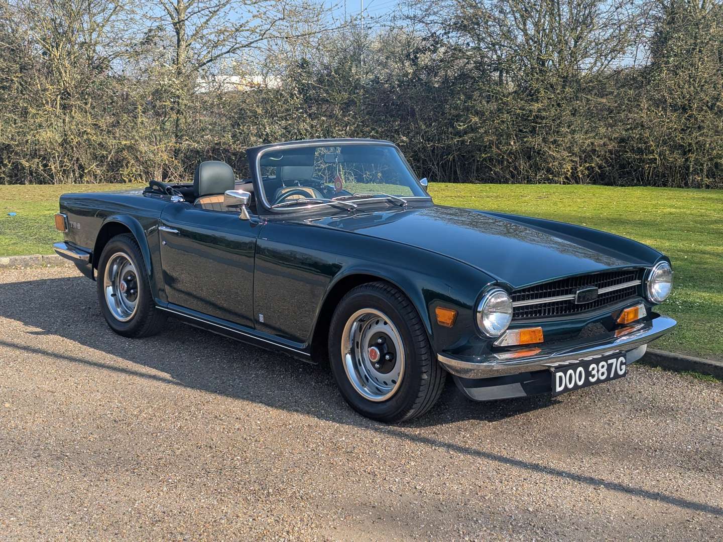 1969 TRIUMPH TR6 - Image 1