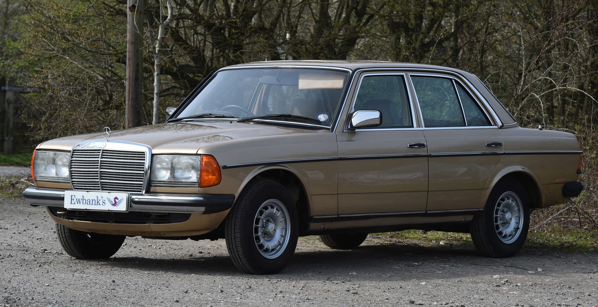 1984 Mercedes-Benz 230E (W123) Saloon Automatic - Image 1