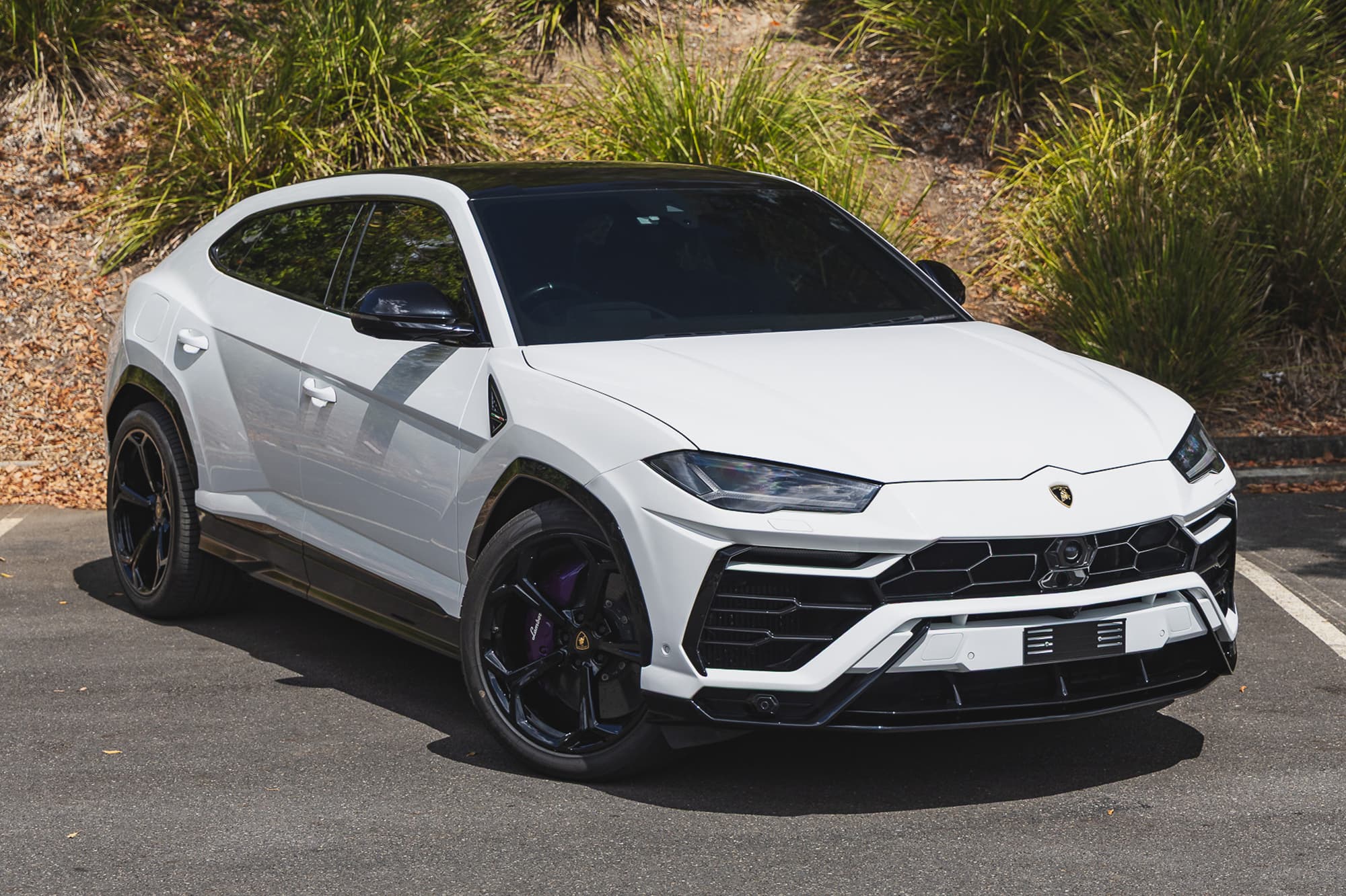 2019 Lamborghini Urus - Image 1